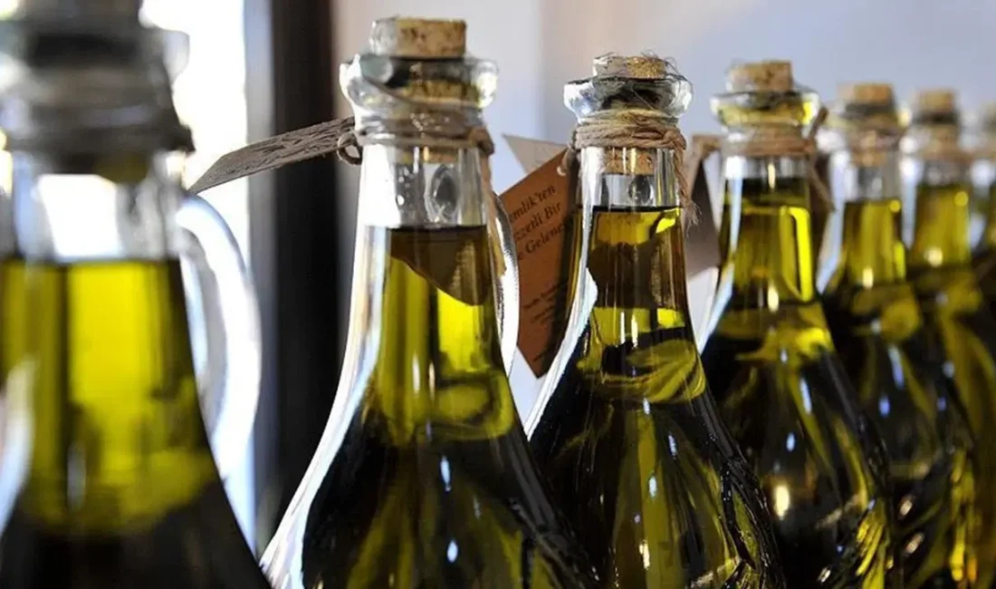Alanya'da zeytin sezonunda üretim