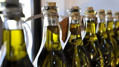 Alanya Zeytin Sezonunda Üretim Hareketliliği ve Güncel Durumlar