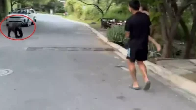 Angel Correa’nın Meksika Macerasında Çarpıcı Anlar ve Yaşanılanlar