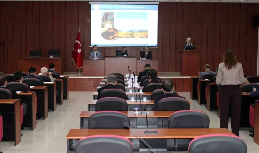 Aydın ekonomisi ve istihdam