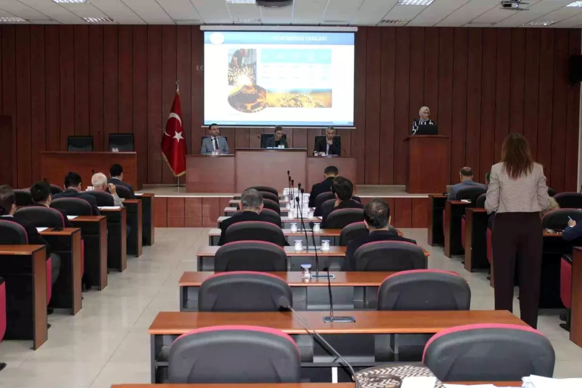 Aydın Ekonomik ve İstihdam Verileri Güncellemesi: 2025 Raporu