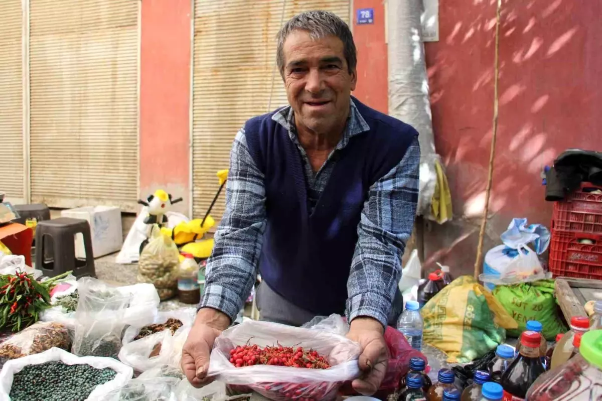 Aydın’da Sonbaharın Kırmızısı: Kızılcığın Sağlığa Faydaları ve Tüketim İpuçları