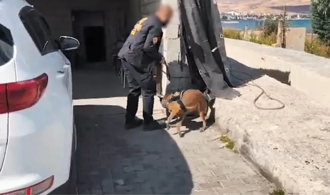 Bitlis'te düzenlenen uyuşturucu operasyonunda