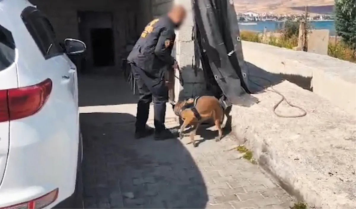 Bitlis’te Uyuşturucu Operasyonunda 5 Şüpheli Tutuklandı