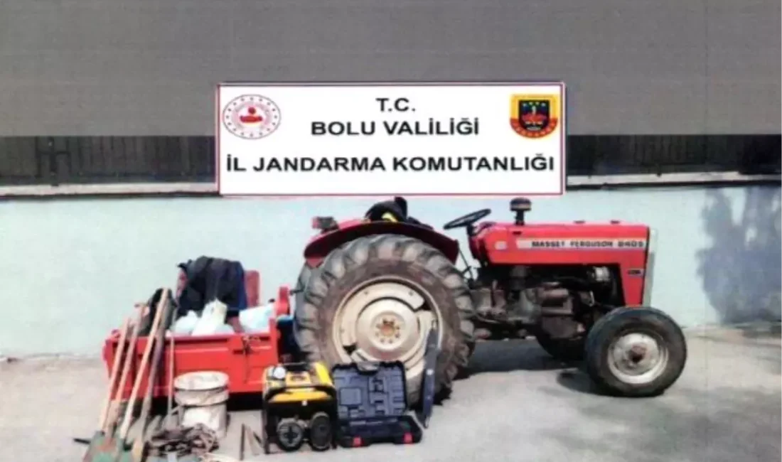 Bolu ormanlarındaki kaçak kazı