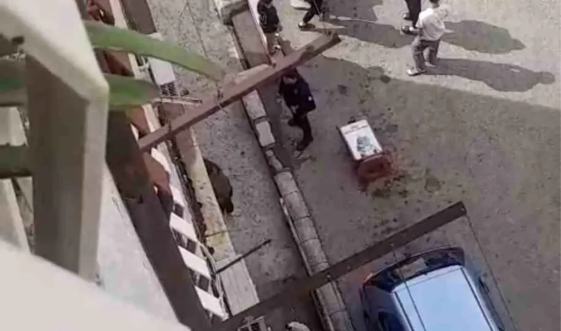 Bursa'da petshopta taciz olayı