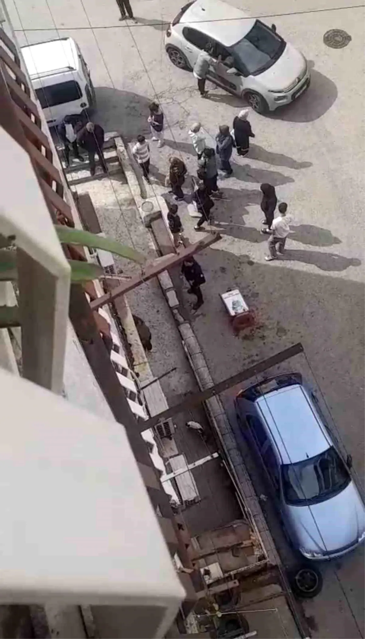 Bursa’da Petshopta Taciz Olayı ve Kenar Mahallede Gerginlik Yaşandı