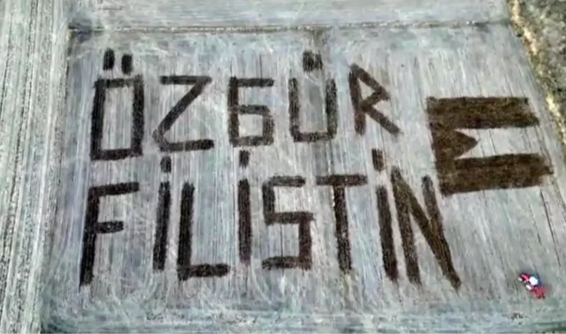 Çiftçi, tarlasına Filistin bayrağı