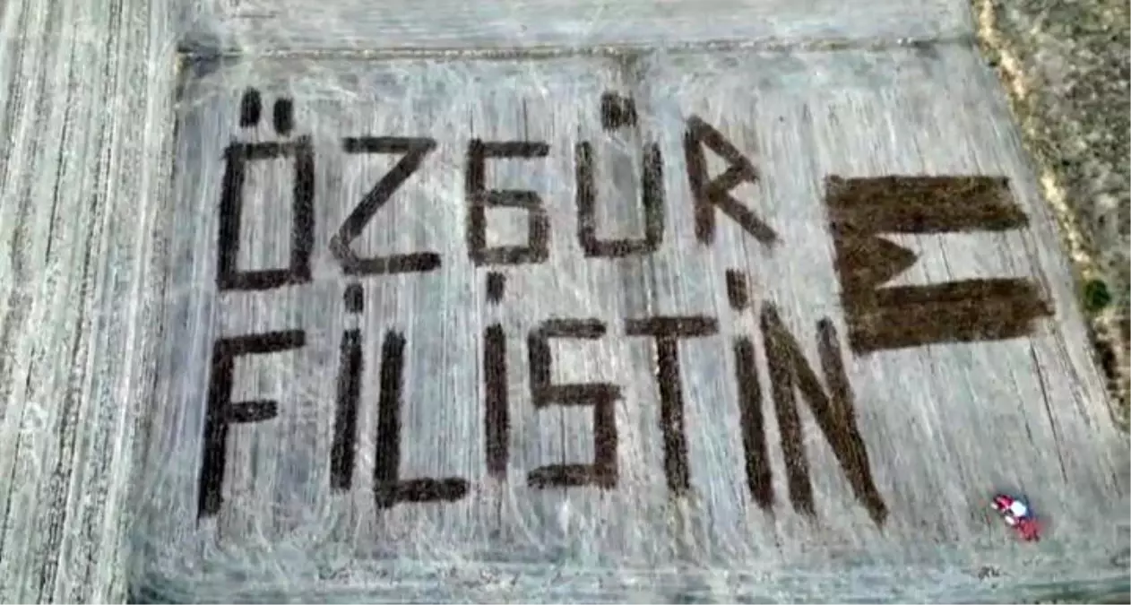 Çiftçi Tarlasına Filistin Bayrağı Çizerek Dayanışma Gösterdi