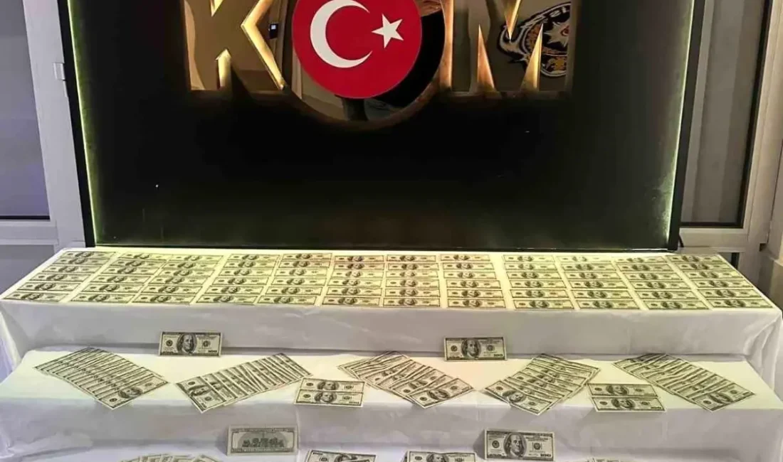 Denizli'de düzenlenen operasyonda 351