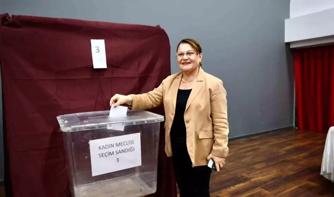 Didim Kadın Meclisi, ilk