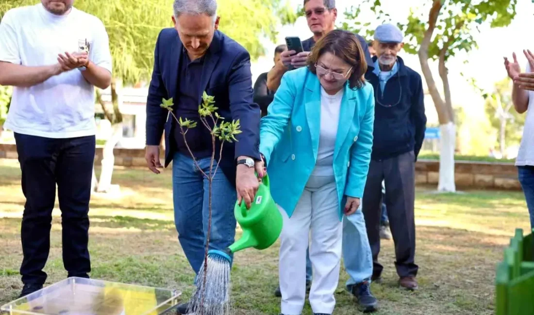 Didim ve Laubach kardeşliğinin