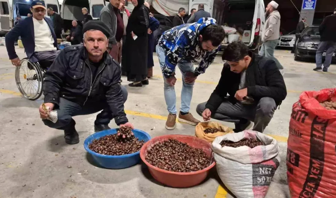 Düzce Kuzu Kestanesi Pazarı