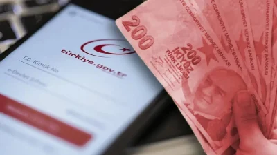 e-Devlet Üzerinden BES ve Ödeme Takip Rehberi