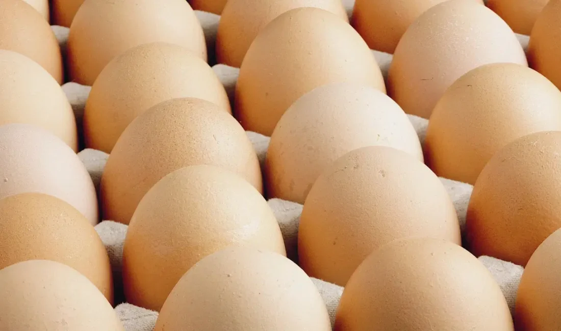 Enflasyon ve gıda fiyatlarındaki