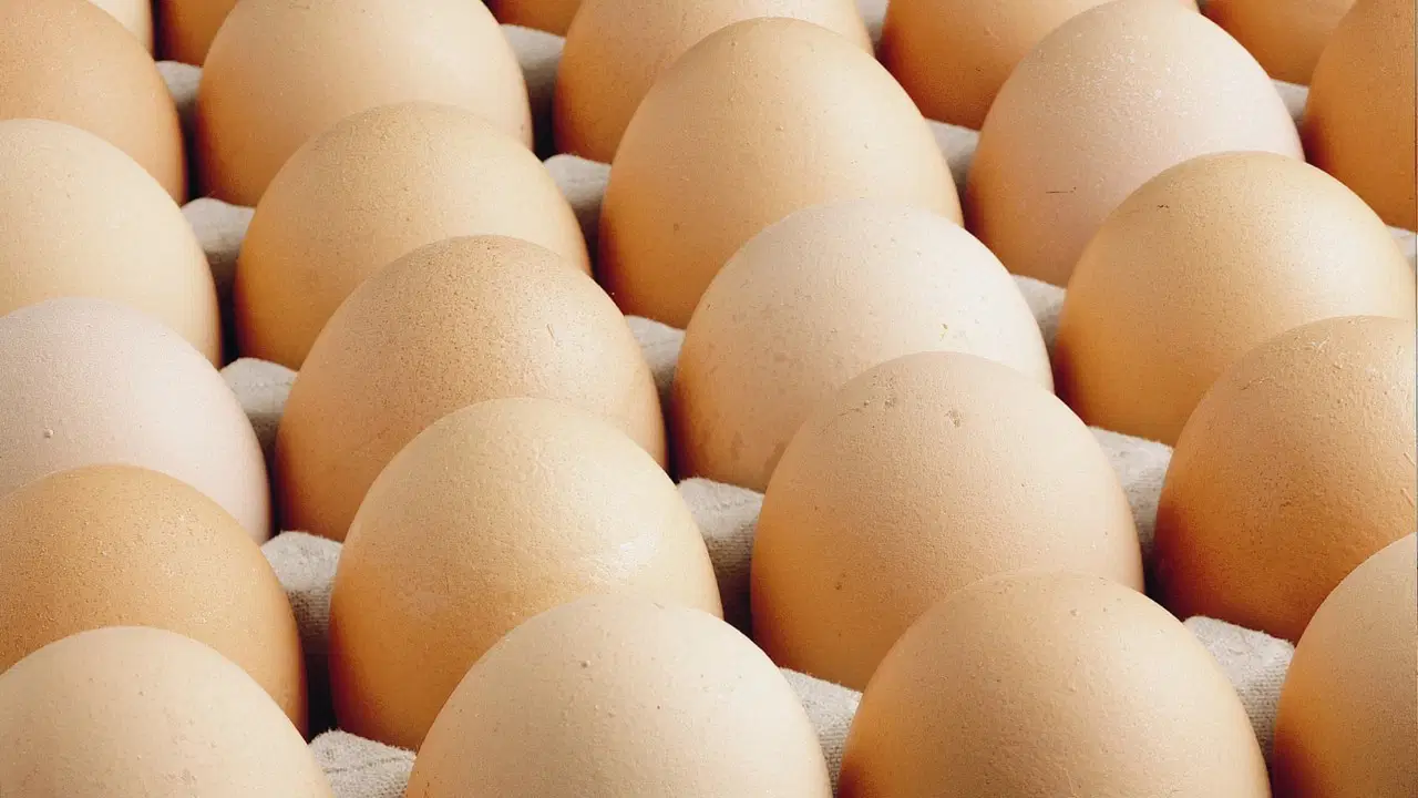 Enflasyon Rakamları ve Gıda Fiyatlarındaki Güncel Durum