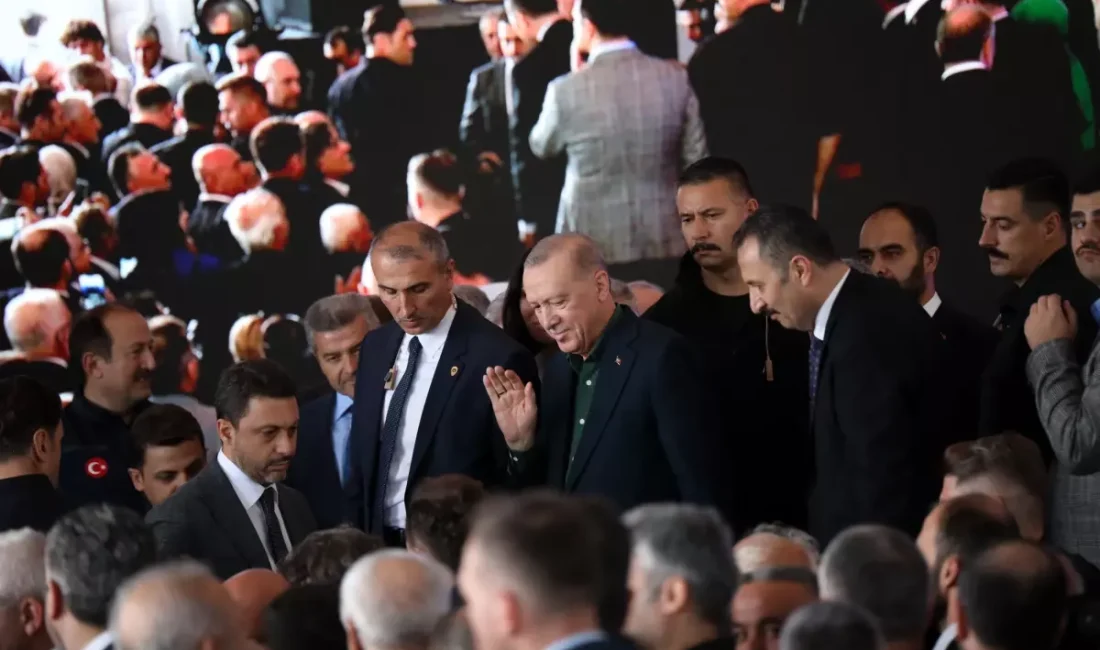 Erdoğan, Filistin ve bölge