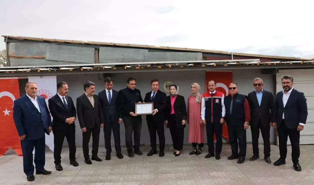 Erzincan'da hastalıktan arı işletmelerine