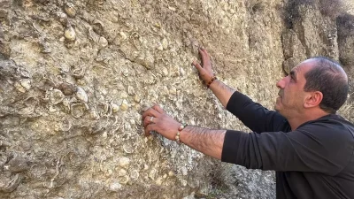 Erzurum’da Fosil Keşifleri ve Bölgede Fosil Müzesi Kurma Çalışmaları