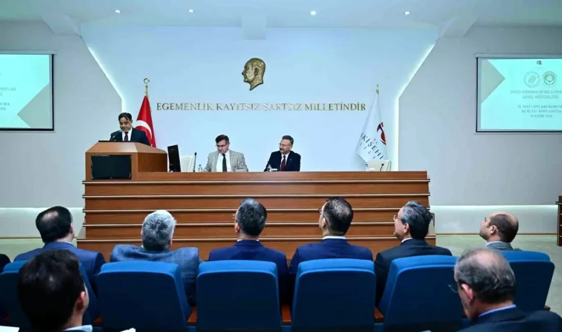Eskişehir'de hayvan dostu şehir