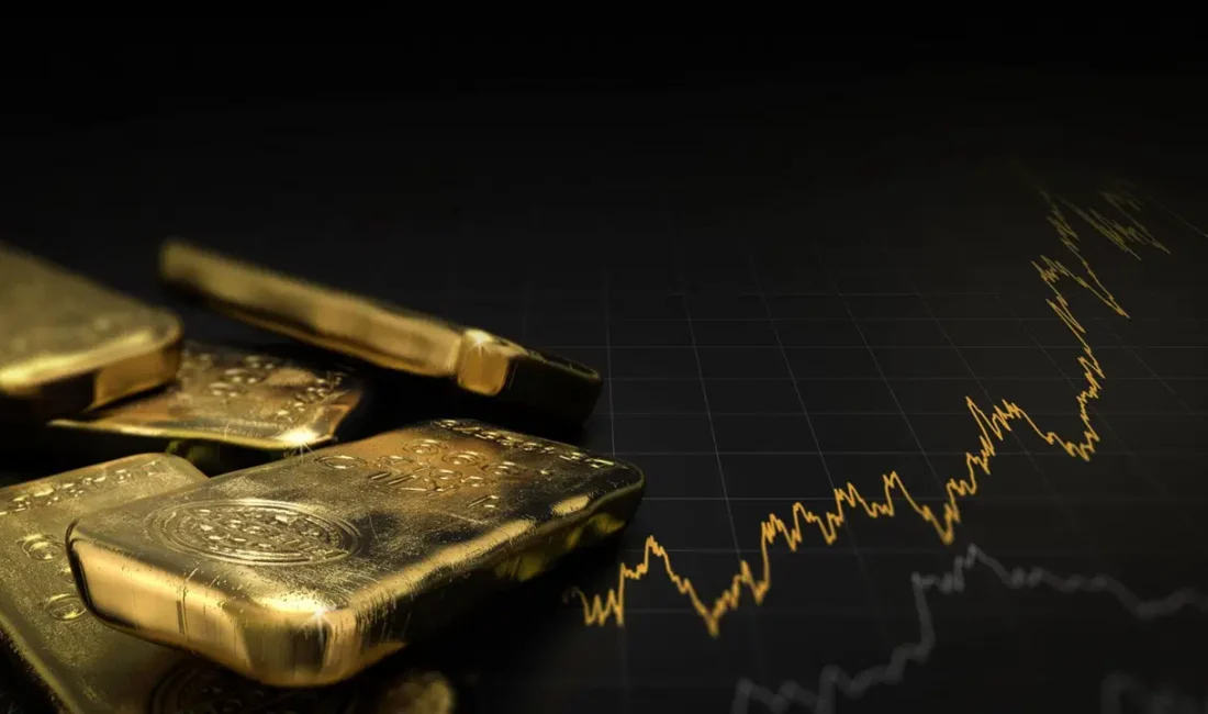 FATF, Güney Afrika ve