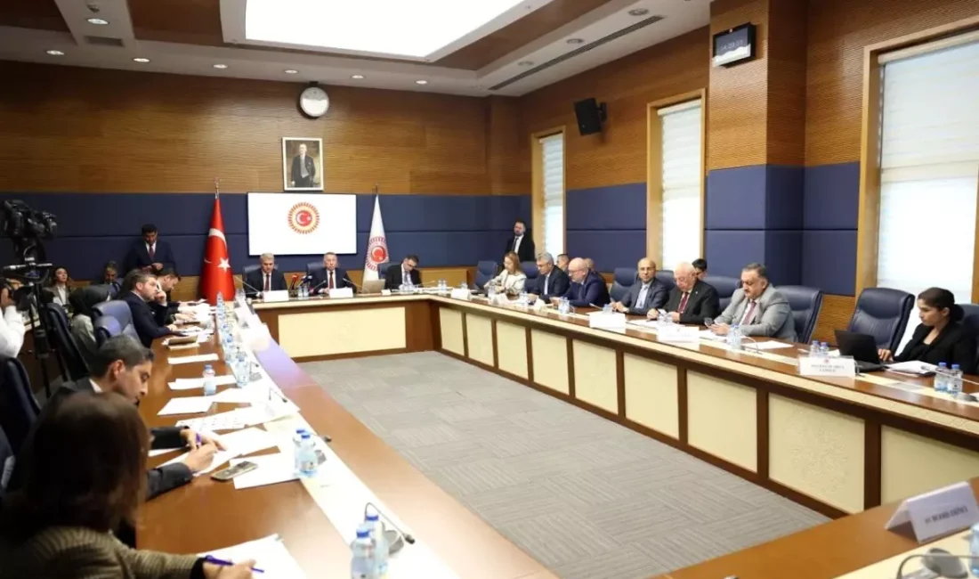 Fuat Oktay’dan Suriye ve