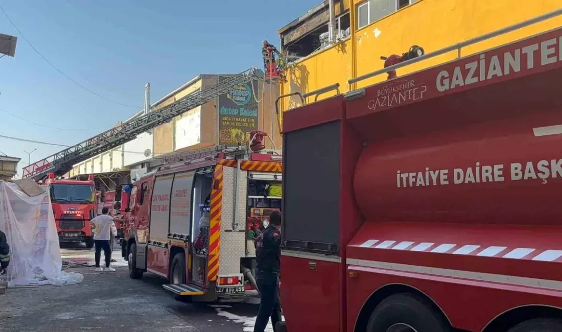 Gaziantep’te gıda deposunda çıkan