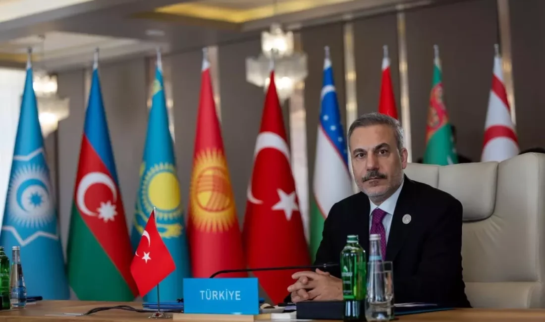 Hakan Fidan, Türk Devletleri