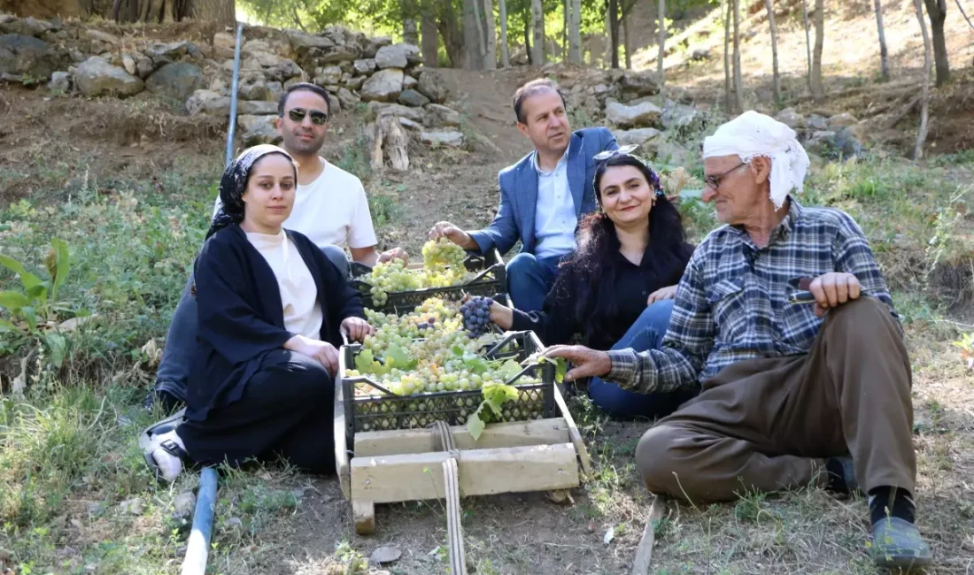 Hakkari’de yaşlı çiftçilerin geleneksel