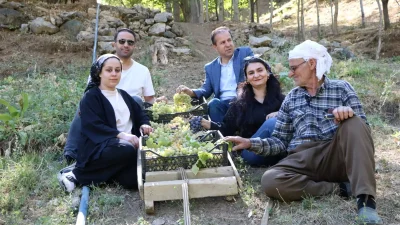 Hakkari’de Yaşlı Çiftçinin Geleneksel Üzüm Hasadı Rüzgarı