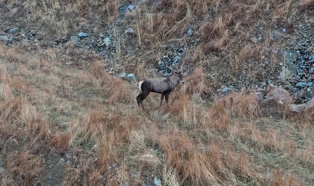 Hanönü'nün doğal güzelliklerini dronla