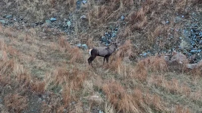Hanönü’nde Doğal Yaşamın Muhteşem Güzellikleri Dronla Kaydedildi