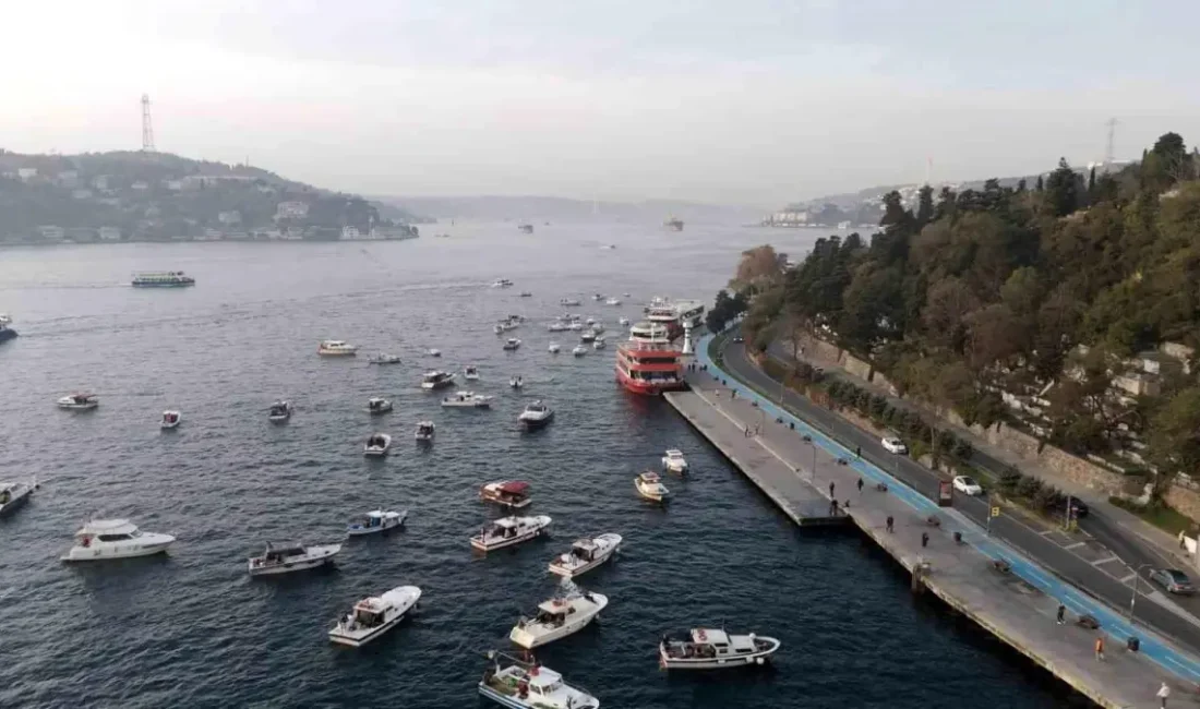 İstanbul Boğazı'nda sabah balıkçılığı
