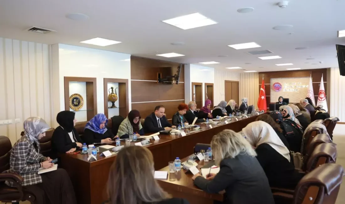 Kadına yönelik şiddetle mücadelede