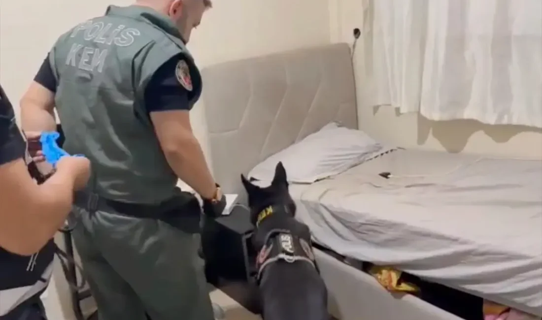 Kahramanmaraş'ta gerçekleştirilen uyuşturucu operasyonunda