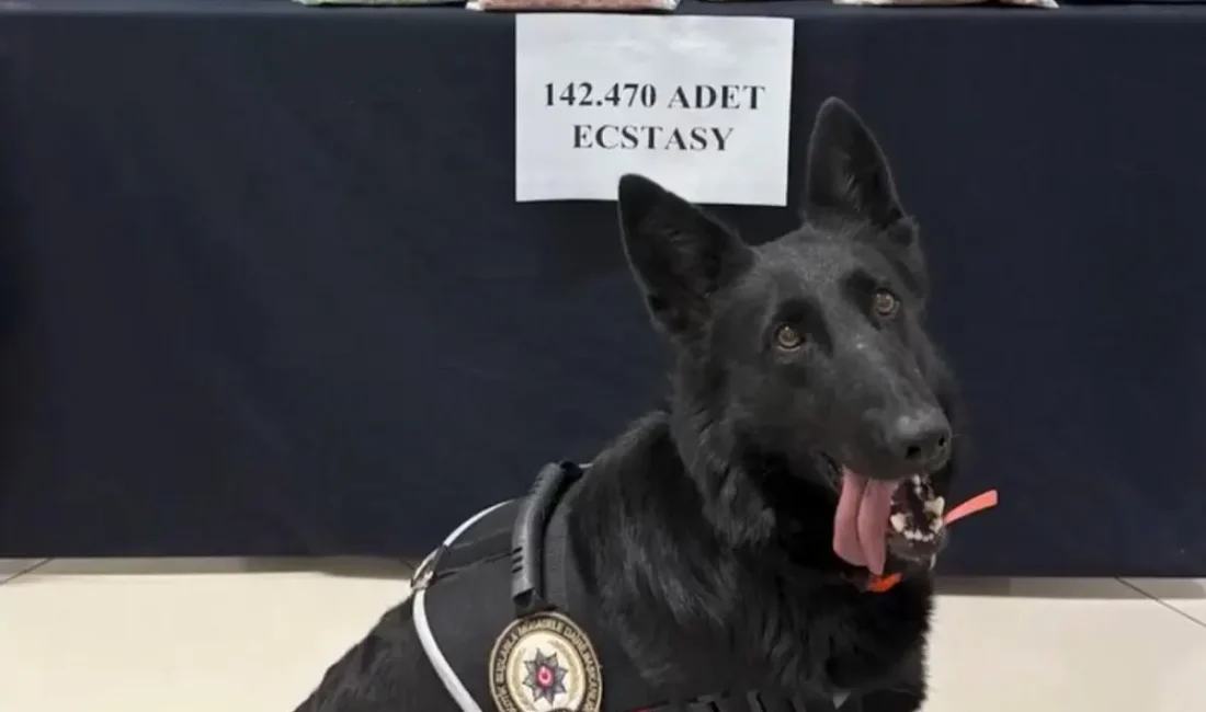 Karaman'da düzenlenen uyuşturucu operasyonunda