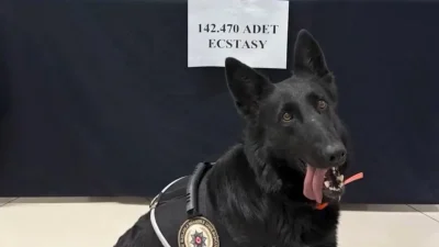 Karaman’da Uyuşturucu Operasyonu: 142 Bin 470 Piyasa Değerinde Hap Ele Geçirildi