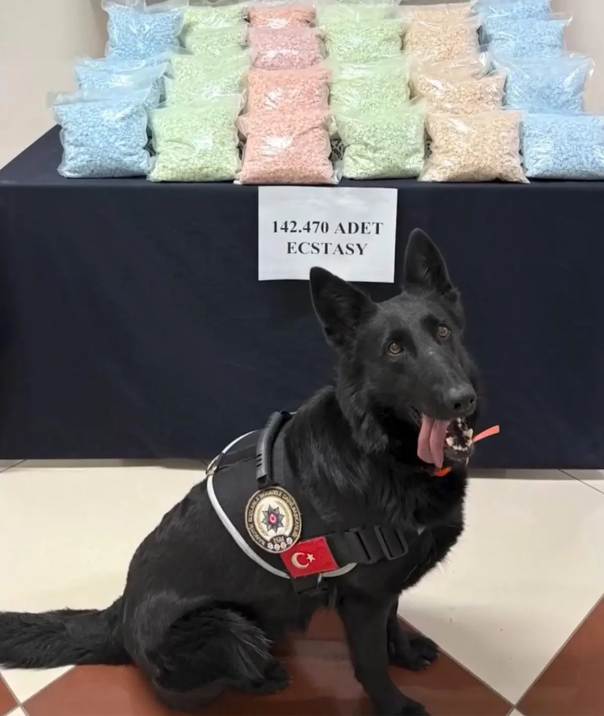 Karaman’da Uyuşturucu Operasyonu: 142 Bin 470 Piyasa Değerinde Hap Ele Geçirildi