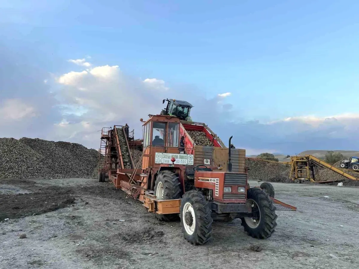 Kars’ta Şeker Pancarı Hasadında Yoğun Mesai ve Zor Koşullar
