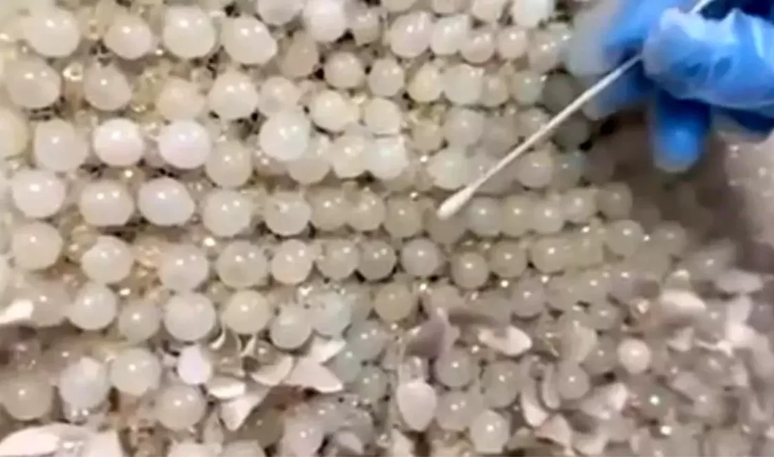 Kayseri jandarması yaptığı operasyonda