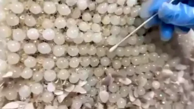 Kayseri Jandarmasından Büyük Uyuşturucu Operasyonu: 25 Kilo 400 Gram Yakalandı