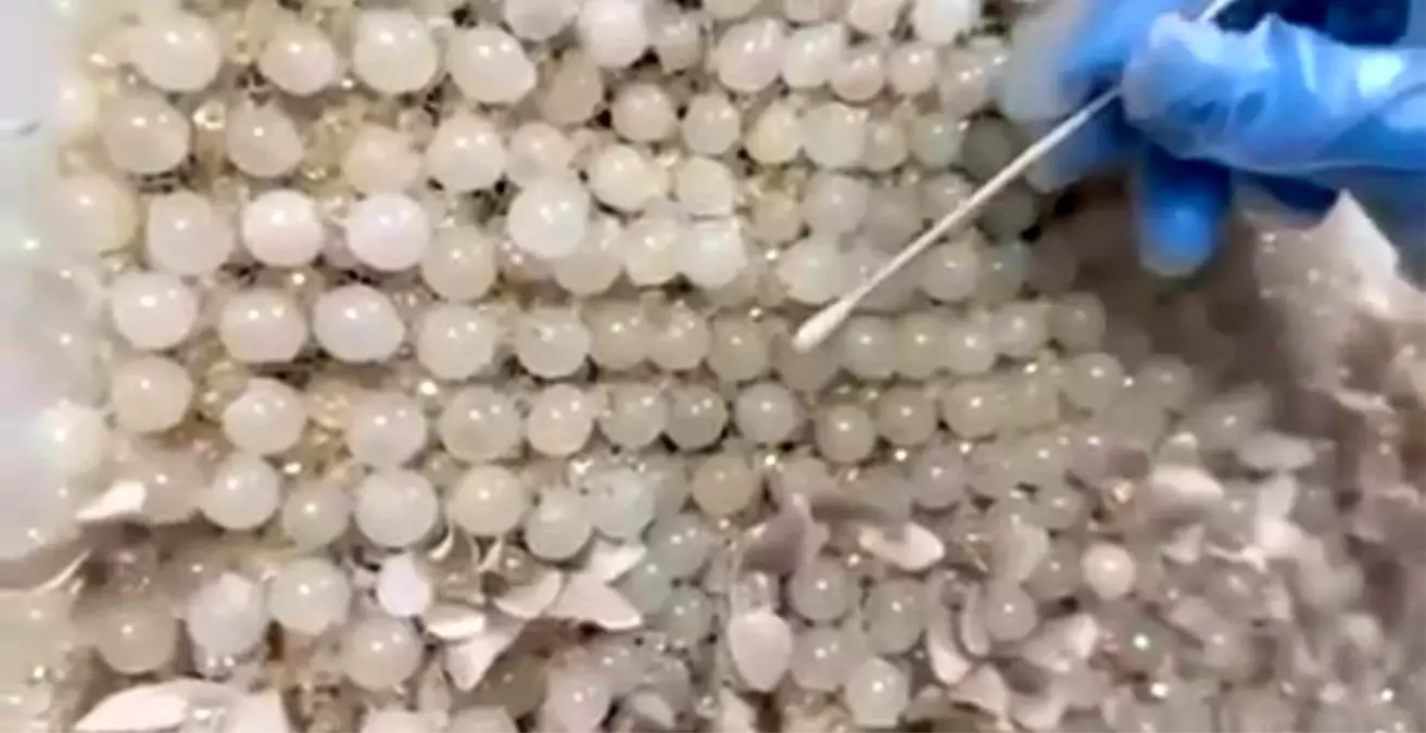 Kayseri Jandarmasından Büyük Uyuşturucu Operasyonu: 25 Kilo 400 Gram Yakalandı