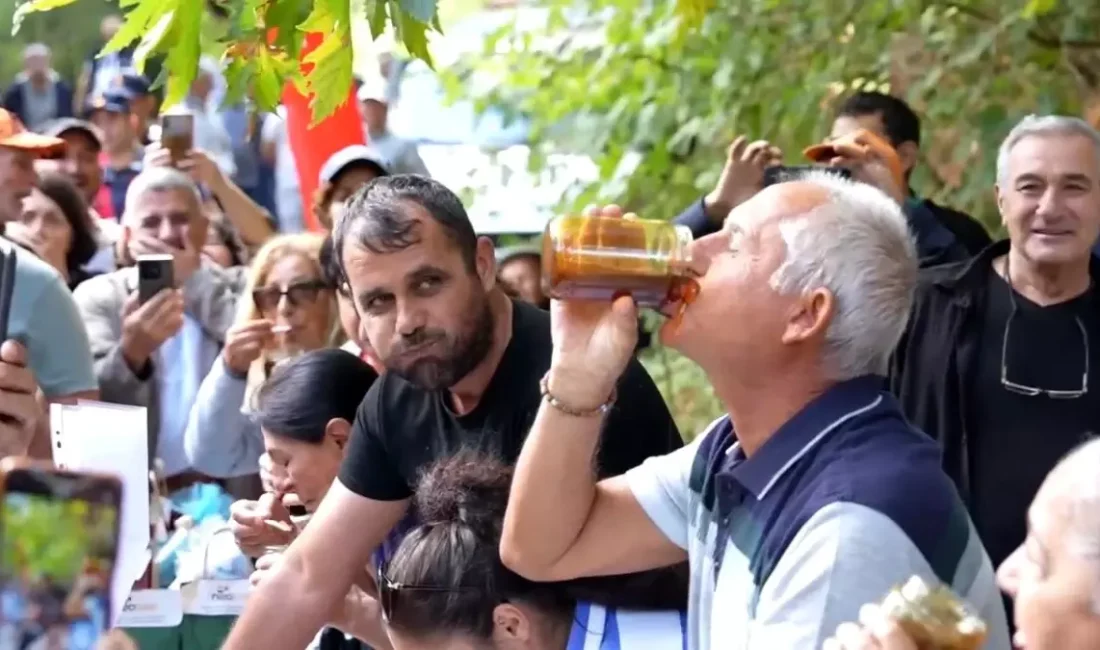Kazdağları Bal Hasat Şenliği