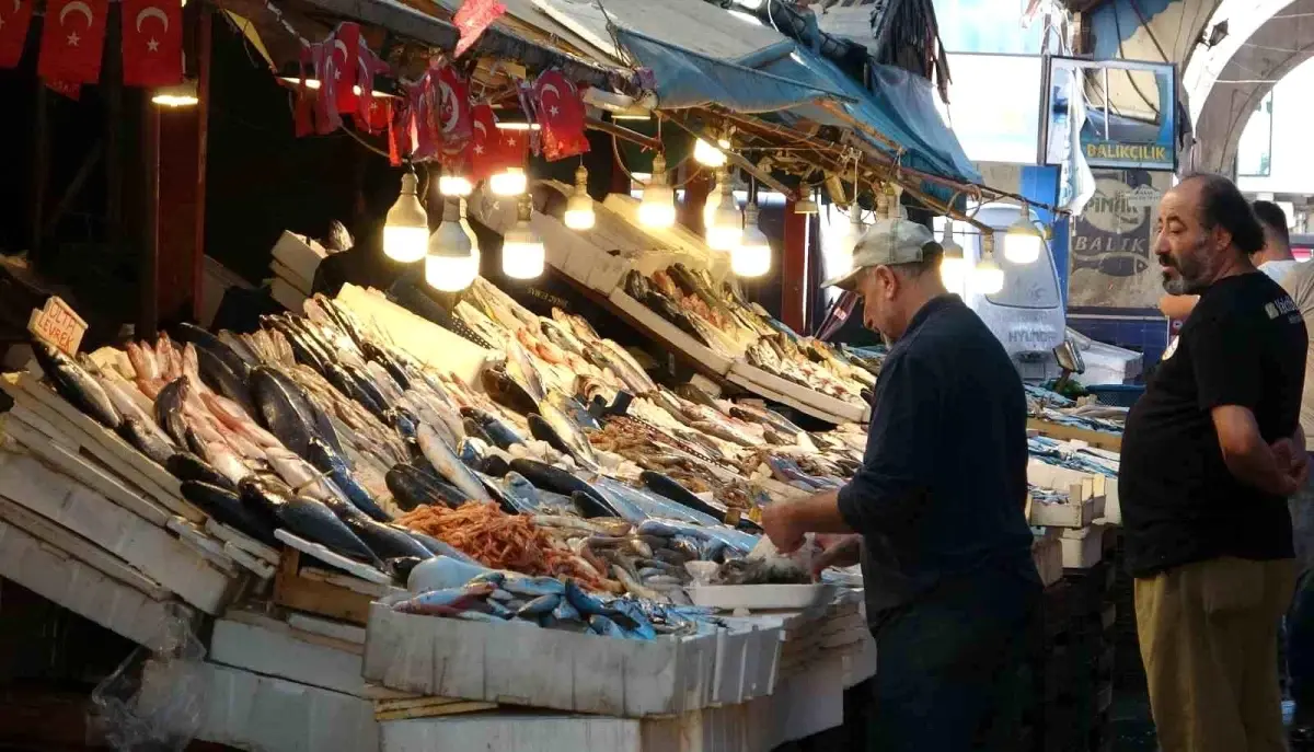 Mersin’de Balıkçılık Sezonu Canlanmaya Devam Ediyor