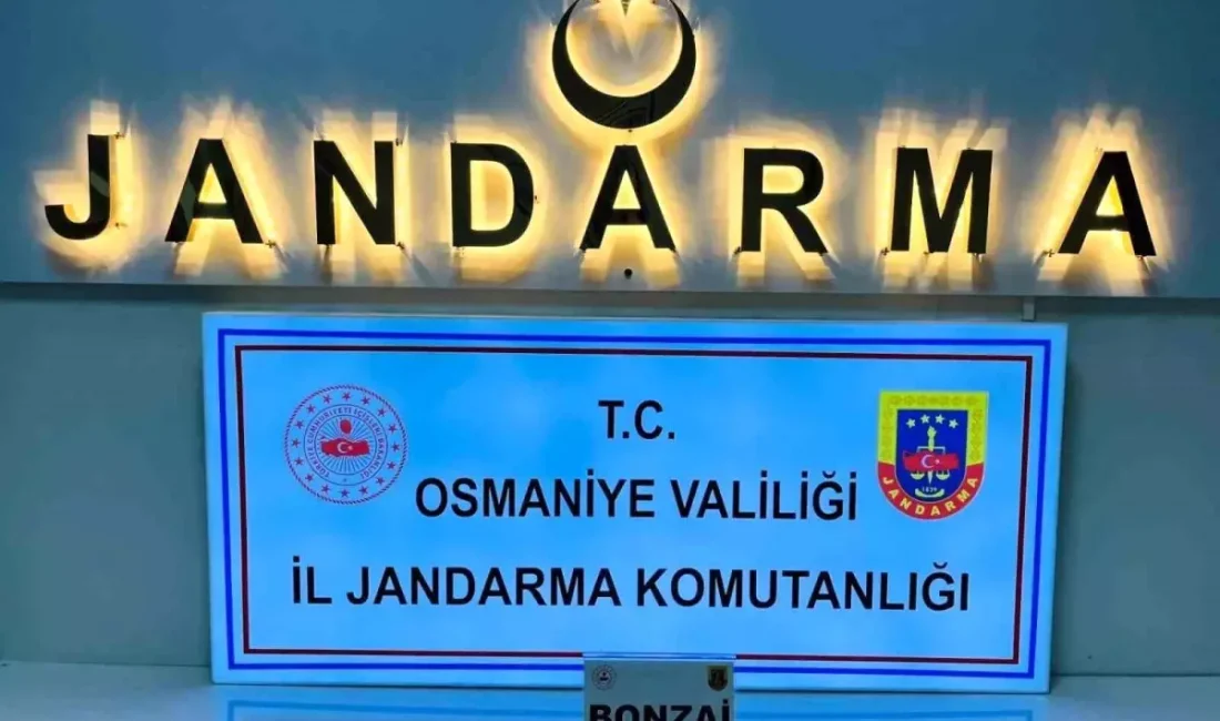 Osmaniye'de emniyet ve jandarma