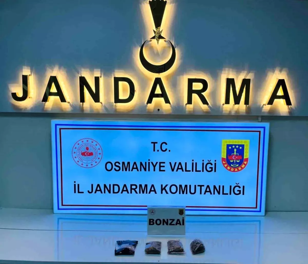 Osmaniye’de Emniyet ve Jandarma Operasyonlarında Gözaltılar ve Ele geçirilen Eşya