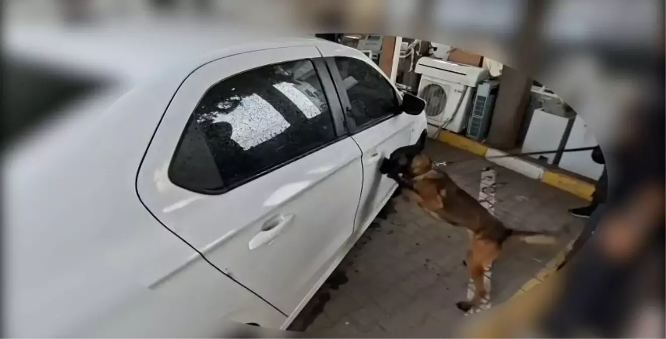 Sakarya’da Uyuşturucu Operasyonuyla 2 Şüpheli Yakalandı ve Patlayıcı Sevkiyatı Engellendi