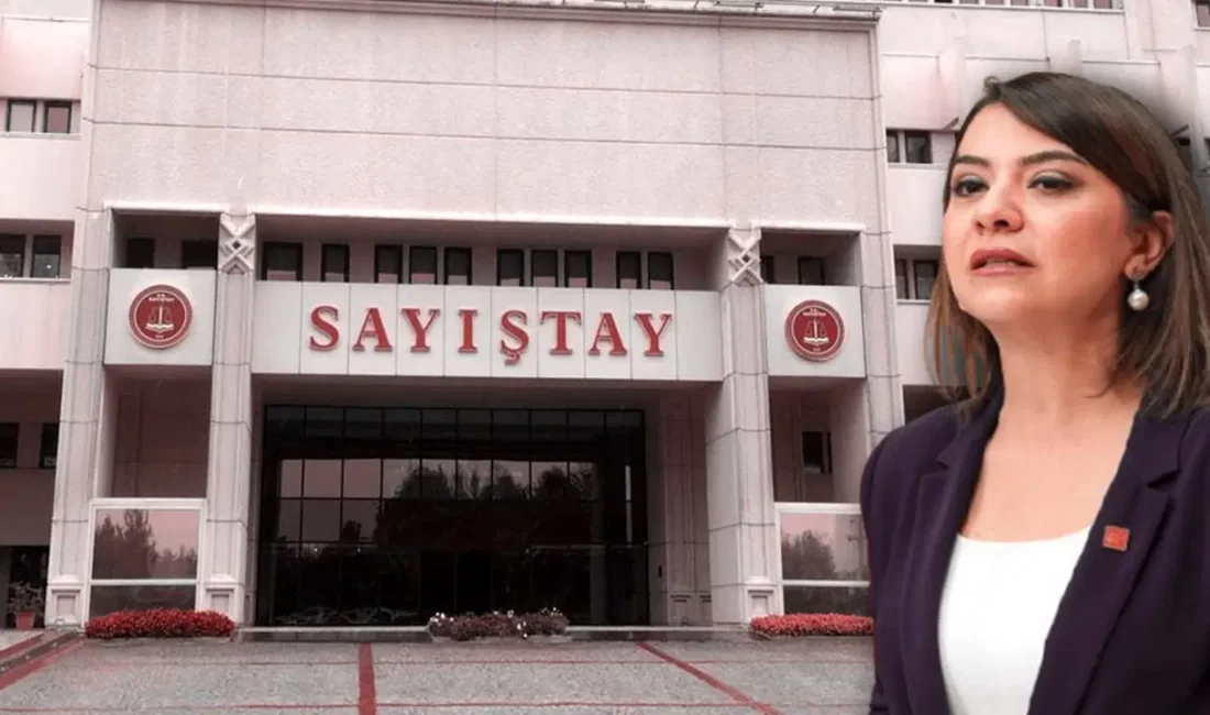 Sayıştay 2024 raporu, kamu