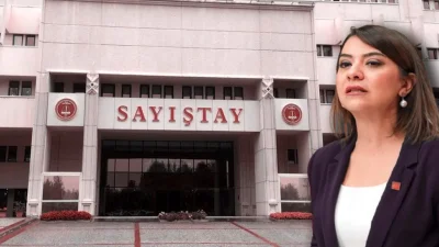 Sayıştay 2024 Raporu: Kamu Kaynaklarının Şeffaflığı ve Denetlenebilirliğin Önemi