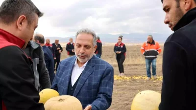 Talas’ta Kabak Çekirdeği Üretiminde Birinci Olmanın Gururu